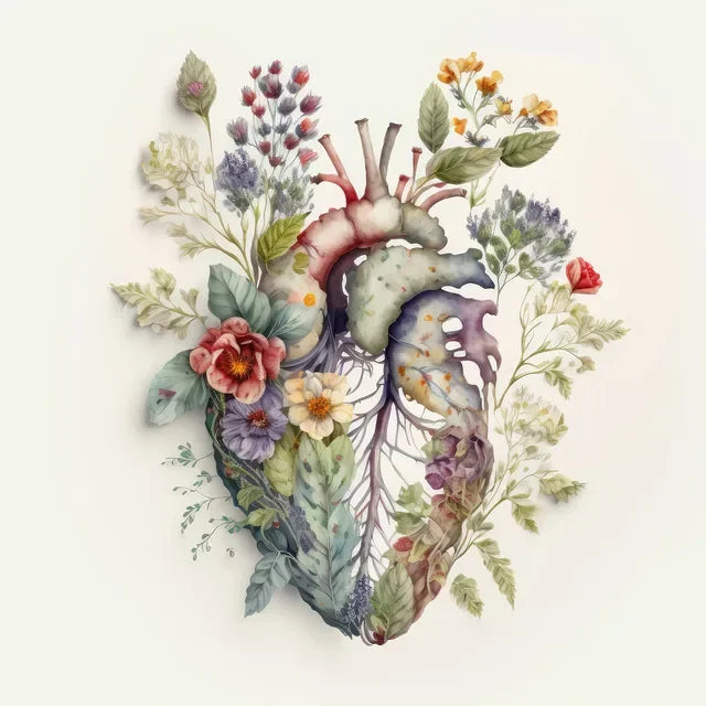 Anatomical Heart Brain Lungs Watercolor Canvas Art Print