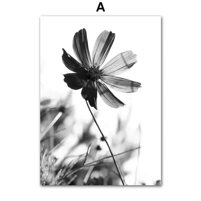 Black & White Floral Butterfly Canvas Art for Home Decor