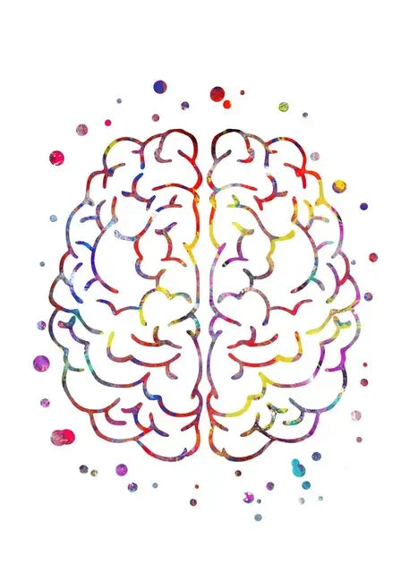 Dental Anatomy Art: Teeth Implant Canvas Prints