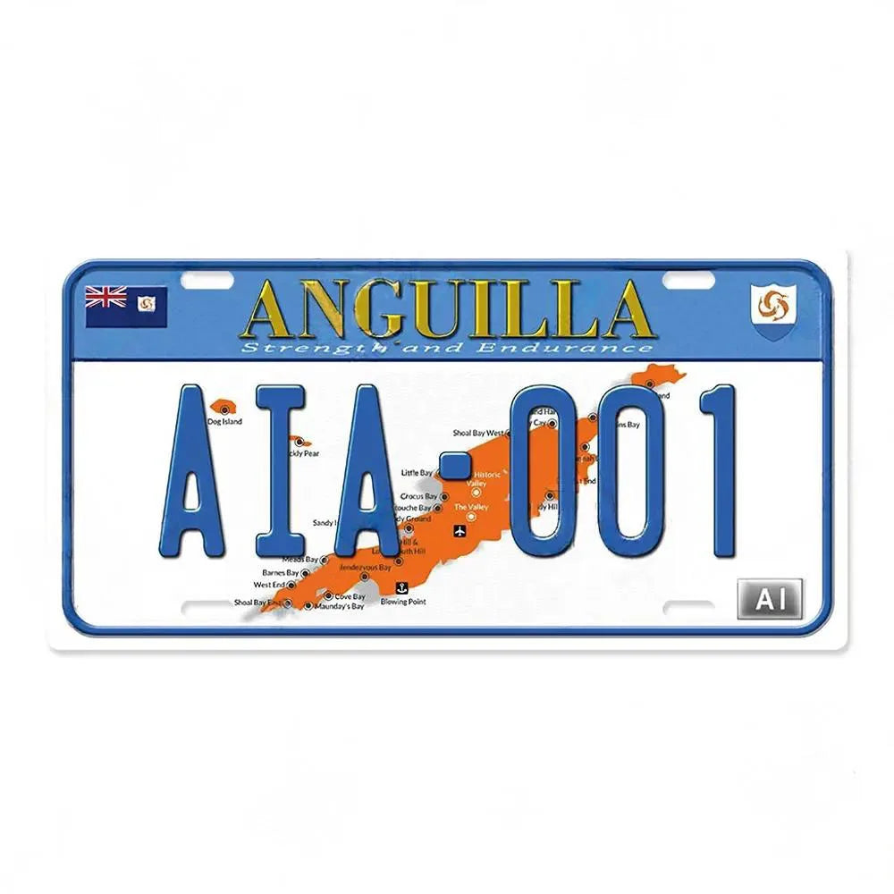 Vintage License Plate Tin Sign Decor for Auto Repair