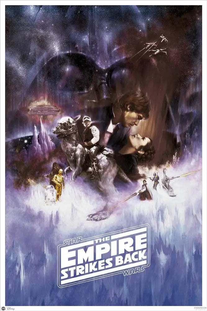 Star Wars Empire Strikes Back Poster 24x36 Regular Style
