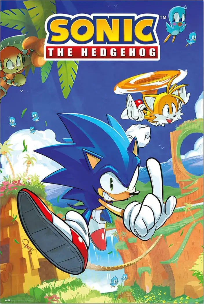 Sonic & Tails Gaming Tin Sign Poster